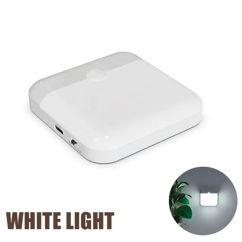 Smart Motion Sensor LED Night Light